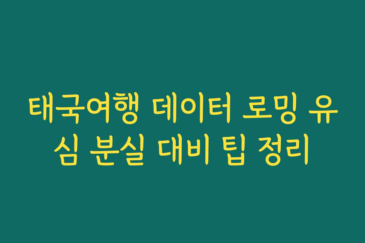 태국여행 데이터 로밍 유심 분실 대비 팁 정리