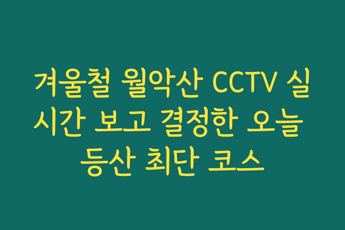 겨울철 월악산 CCTV 실시간 보고 결정한 오늘 등산 최단 코스