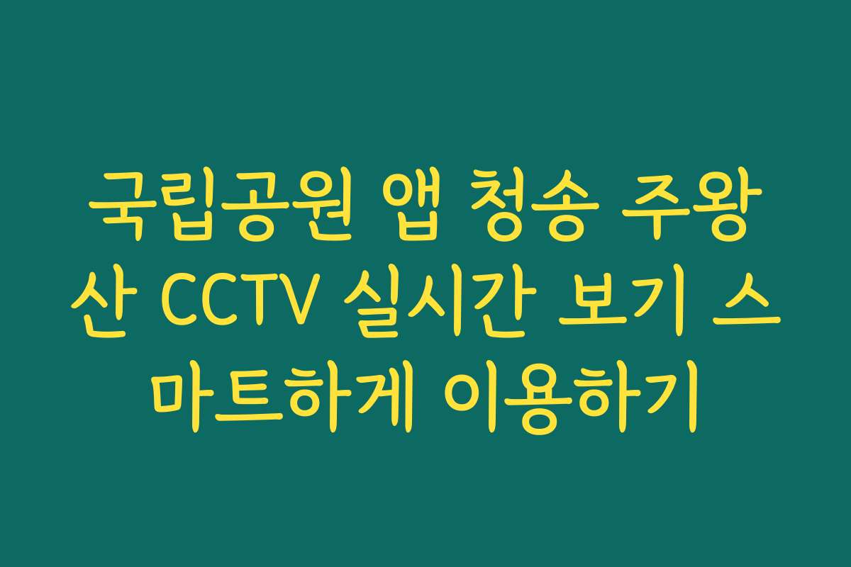 국립공원 앱 청송 주왕산 CCTV 실시간 보기 스마트하게 이용하기