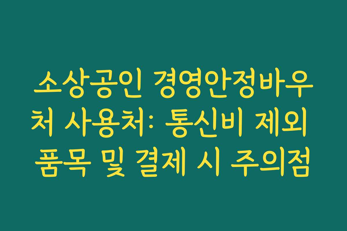 소상공인 경영안정바우처 사용처: 통신비 제외 품목 및 결제 시 주의점