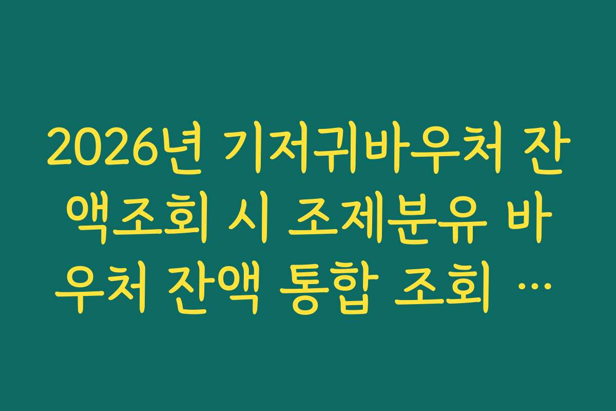 2026년 기저귀바우처 잔액조회 시 조제분유 바우처 잔액 통합 조회 여부