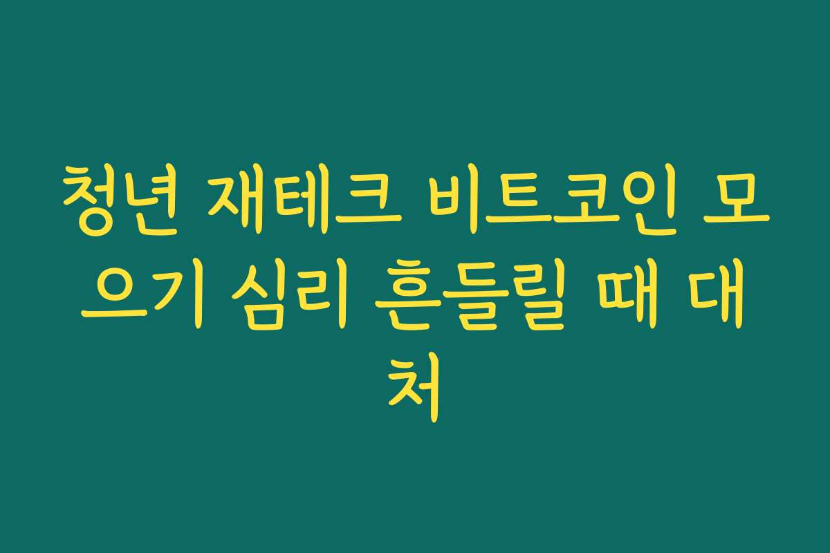 청년 재테크 비트코인 모으기 심리 흔들릴 때 대처 청년 재테크 비트코인 모으기 심리 흔들릴 때 대처