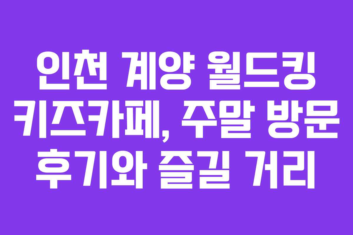 인천 계양 월드킹 키즈카페, 주말 방문 후기와 즐길 거리