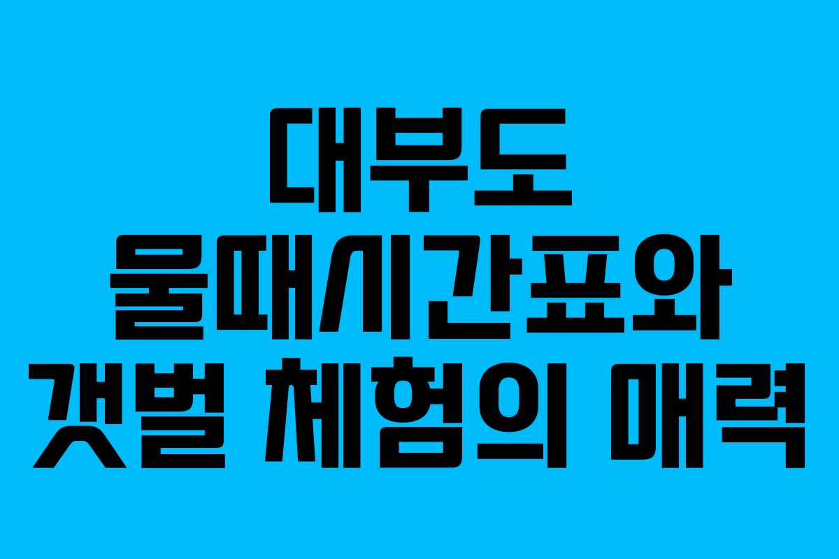 대부도 물때시간표와 갯벌 체험의 매력