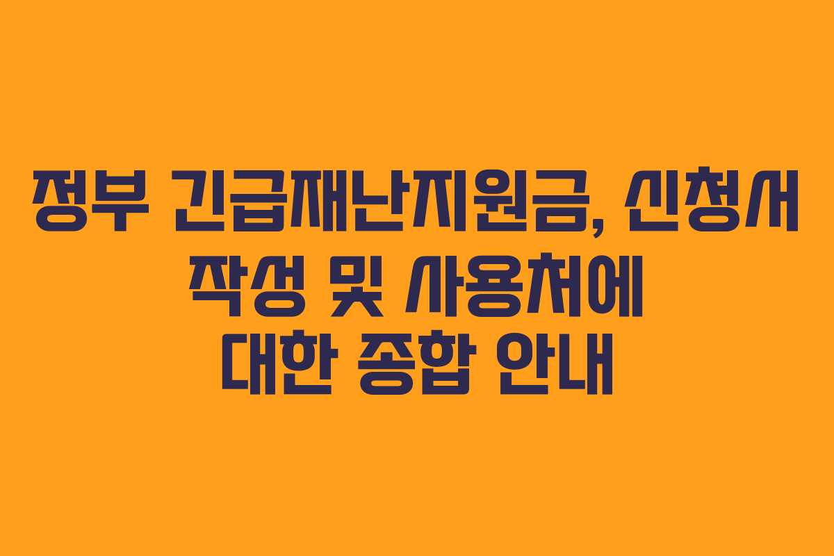 정부 긴급재난지원금, 신청서 작성 및 사용처에 대한 종합 안내