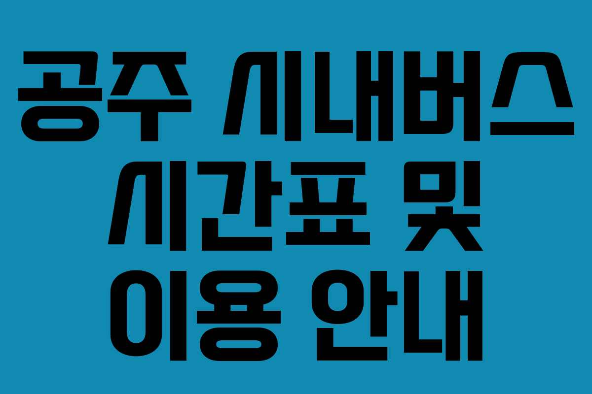 공주 시내버스 시간표 및 이용 안내