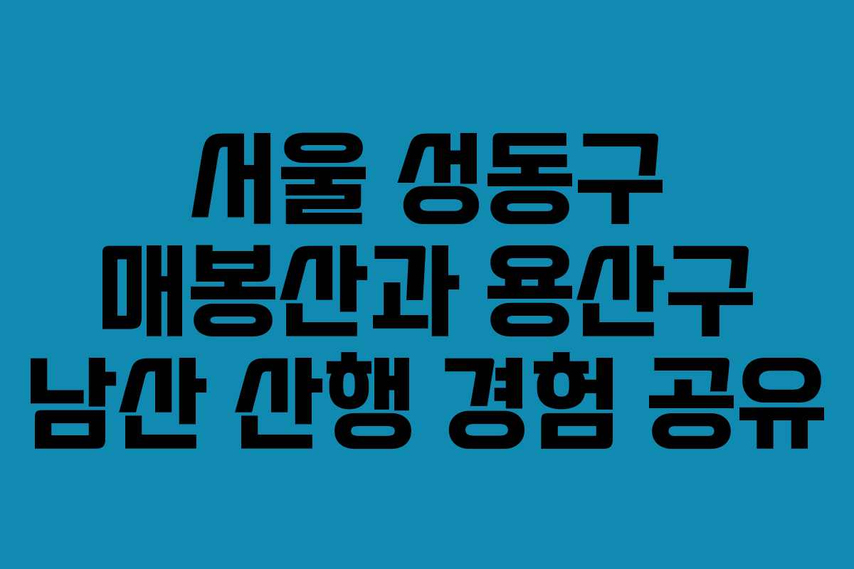 서울 성동구 매봉산과 용산구 남산 산행 경험 공유