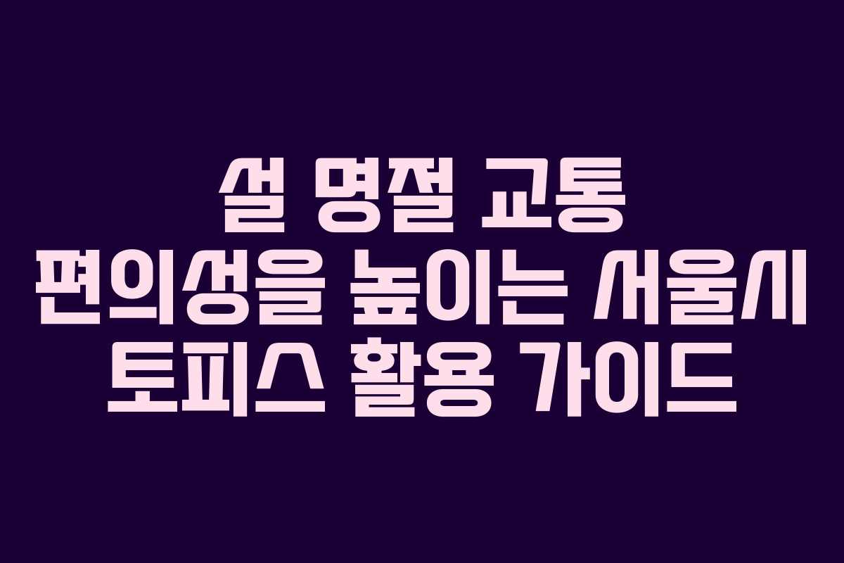 설 명절 교통 편의성을 높이는 서울시 토피스 활용 가이드
