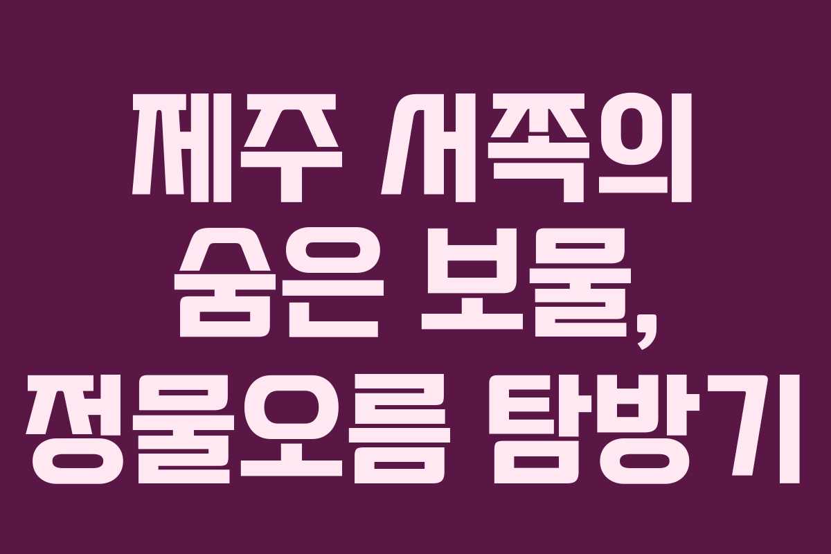 제주 서쪽의 숨은 보물, 정물오름 탐방기