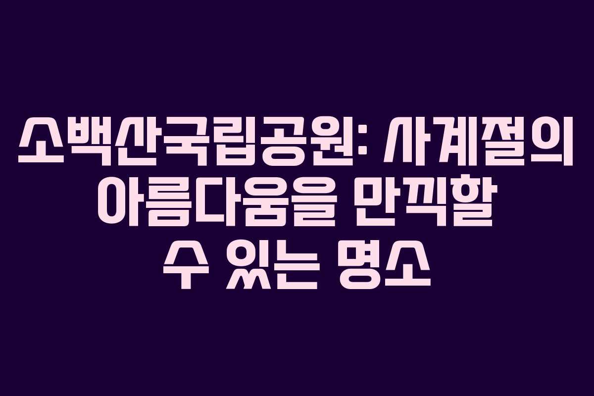 소백산국립공원: 사계절의 아름다움을 만끽할 수 있는 명소