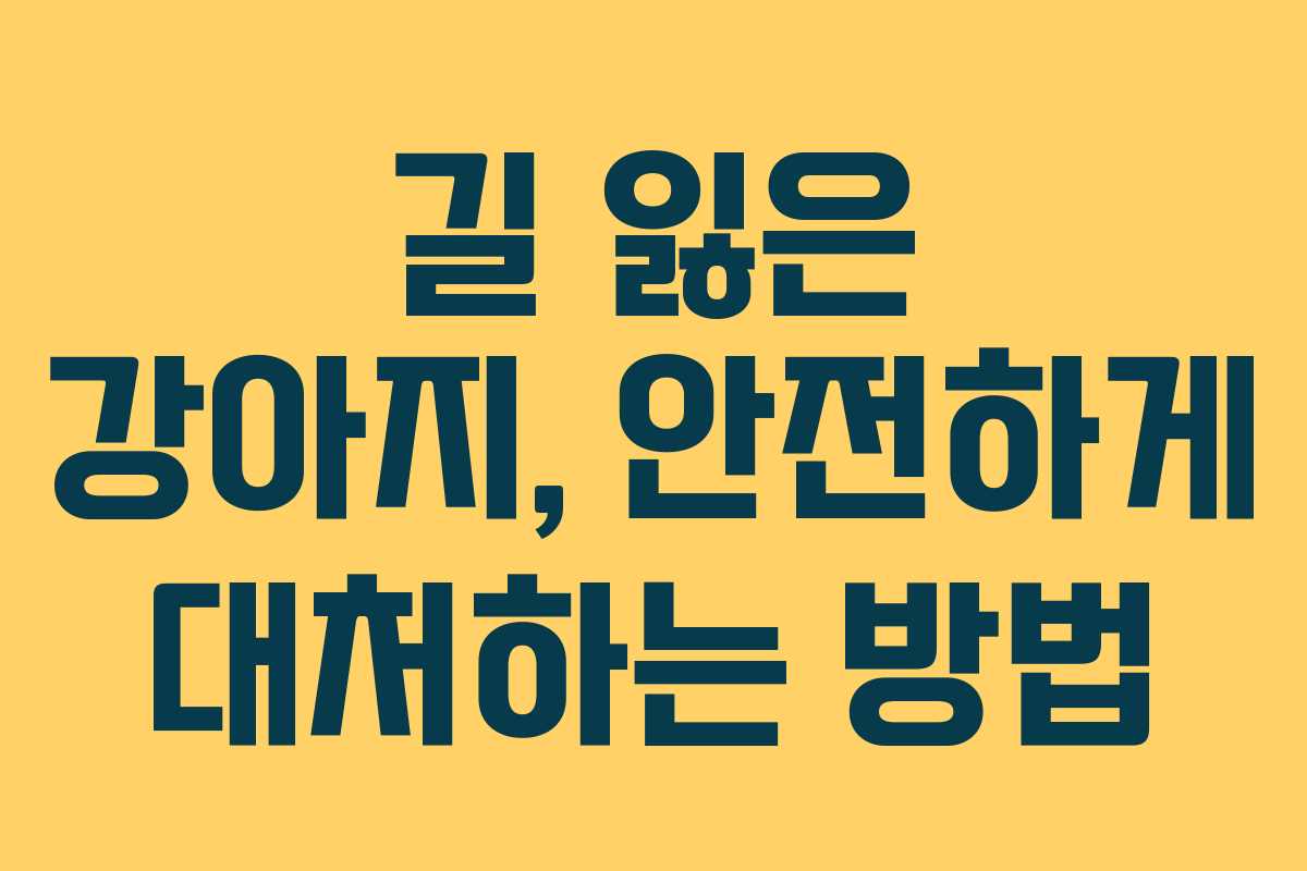 길 잃은 강아지, 안전하게 대처하는 방법