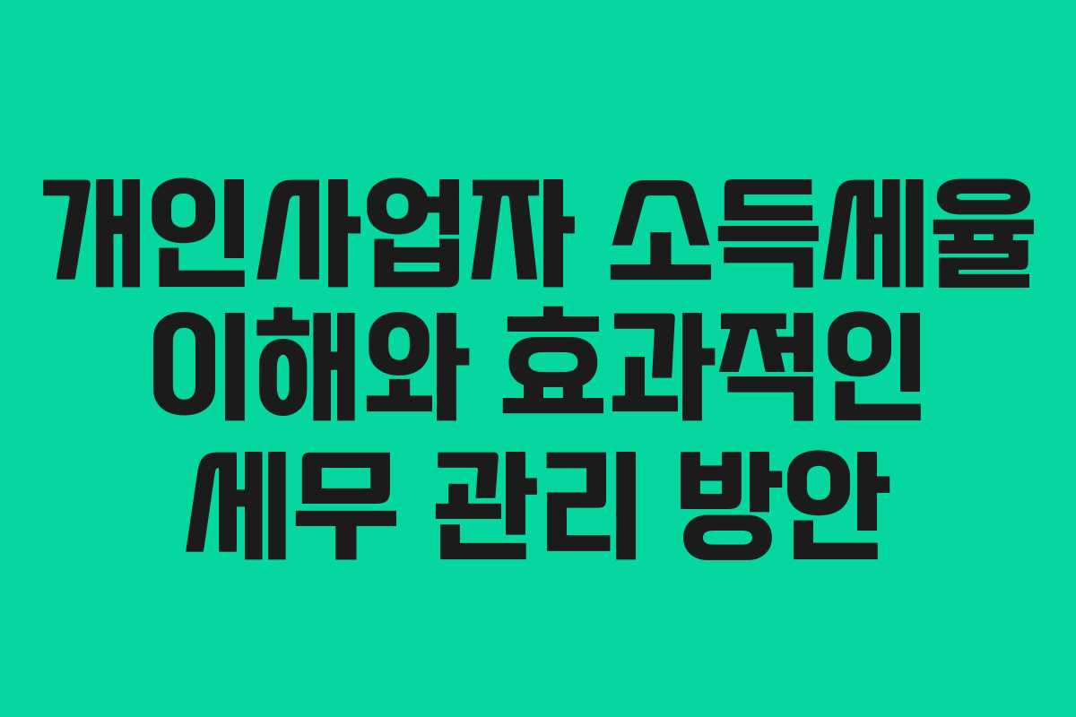 개인사업자 소득세율 이해와 효과적인 세무 관리 방안