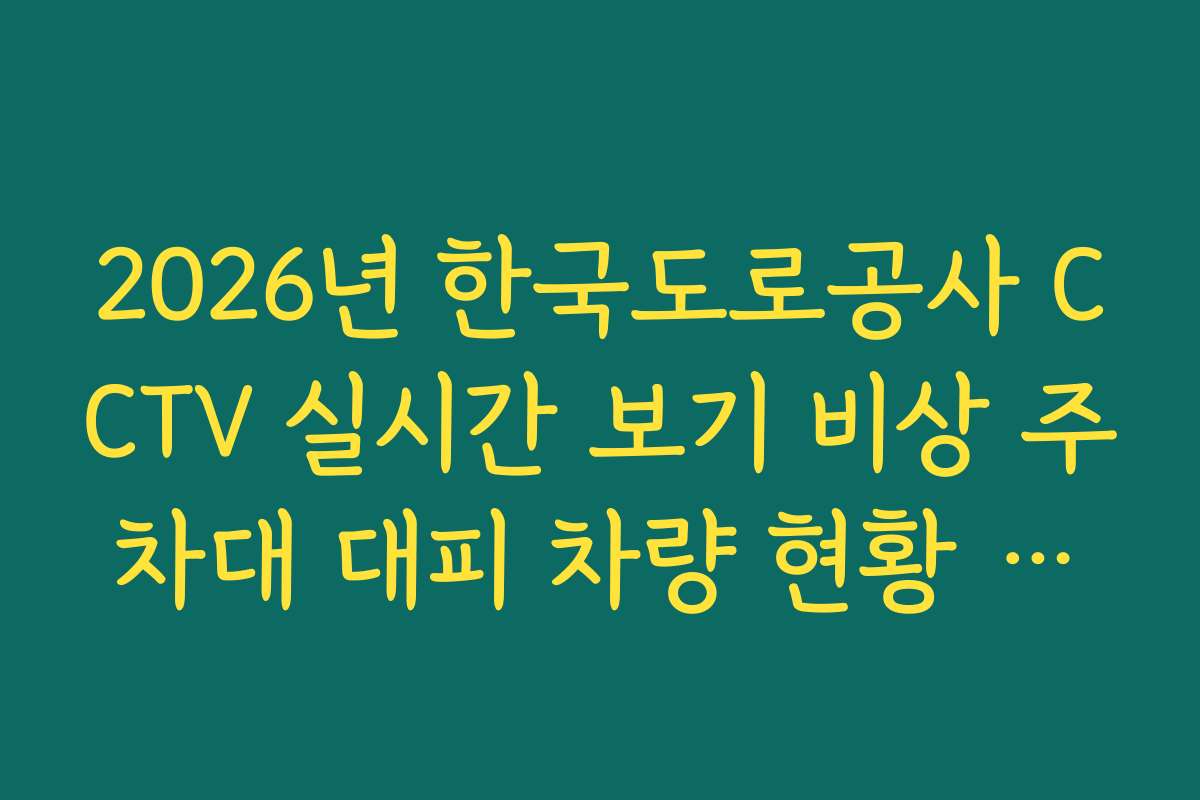 2026년 한국도로공사 CCTV 실시간 보기 비상 주차대 대피 차량 현황 분석법
