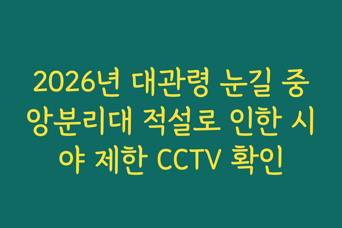 2026년 대관령 눈길 중앙분리대 적설로 인한 시야 제한 CCTV 확인