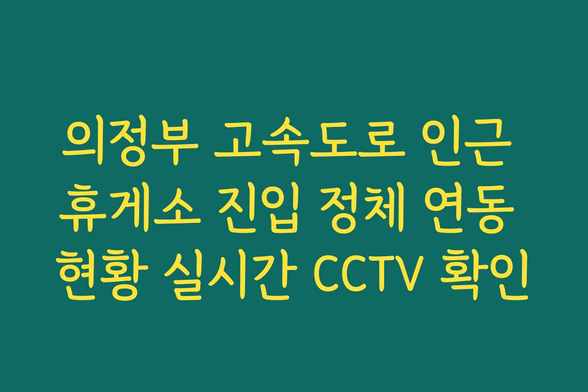 의정부 고속도로 인근 휴게소 진입 정체 연동 현황 실시간 CCTV 확인
