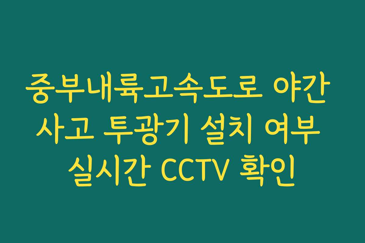 중부내륙고속도로 야간 사고 투광기 설치 여부 실시간 CCTV 확인 중부내륙고속도로 야간 사고 투광기 설치 여부 실시간 CCTV 확인