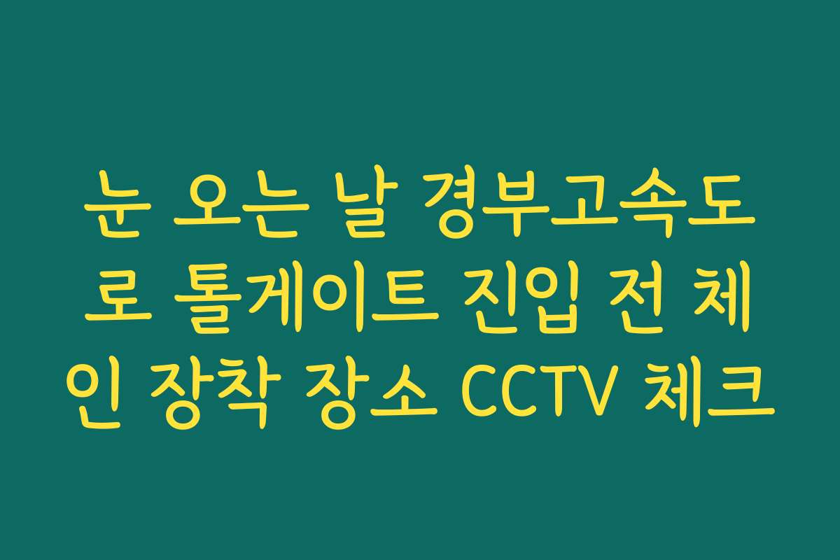 눈 오는 날 경부고속도로 톨게이트 진입 전 체인 장착 장소 CCTV 체크 눈 오는 날 경부고속도로 톨게이트 진입 전 체인 장착 장소 CCTV 체크