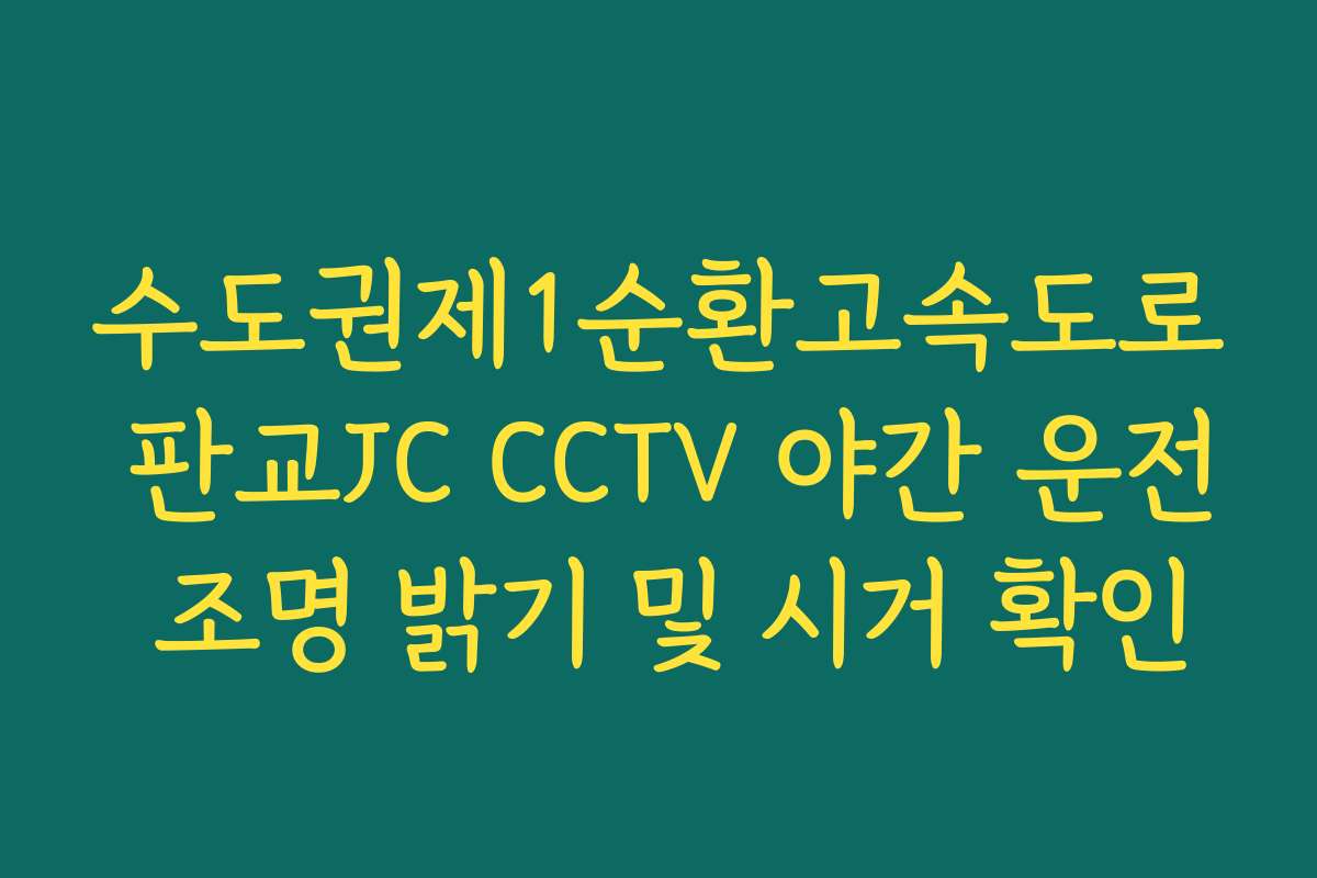 수도권제1순환고속도로 판교JC CCTV 야간 운전 조명 밝기 및 시거 확인 수도권제1순환고속도로 판교JC CCTV 야간 운전 조명 밝기 및 시거 확인