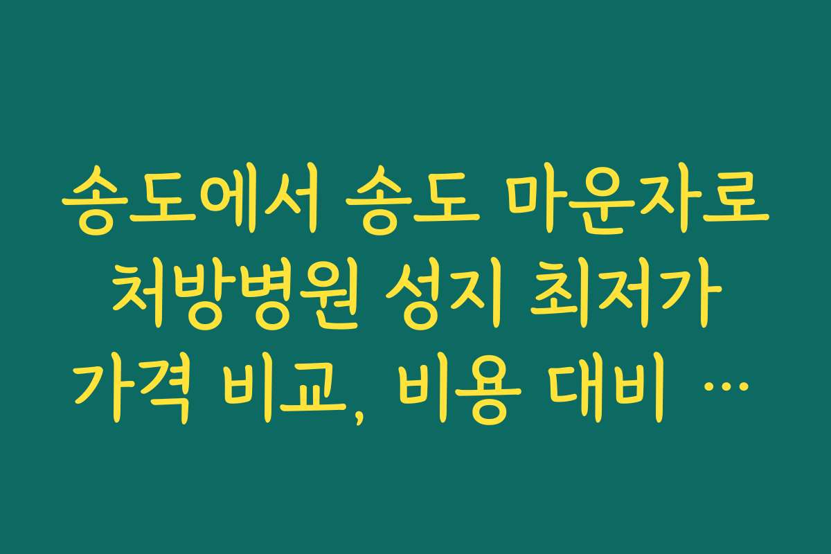 송도에서 송도 마운자로 처방병원 성지 최저가 가격 비교, 비용 대비 최고의 서비스 찾기