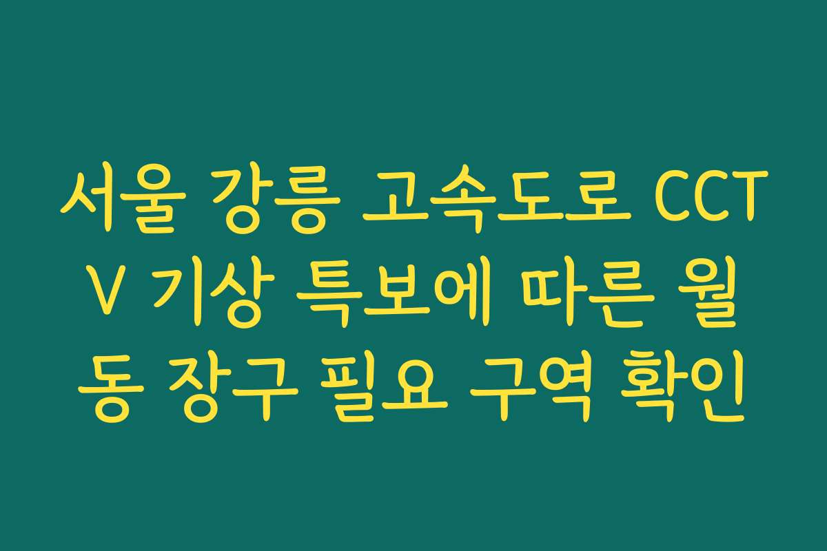 서울 강릉 고속도로 CCTV 기상 특보에 따른 월동 장구 필요 구역 확인
