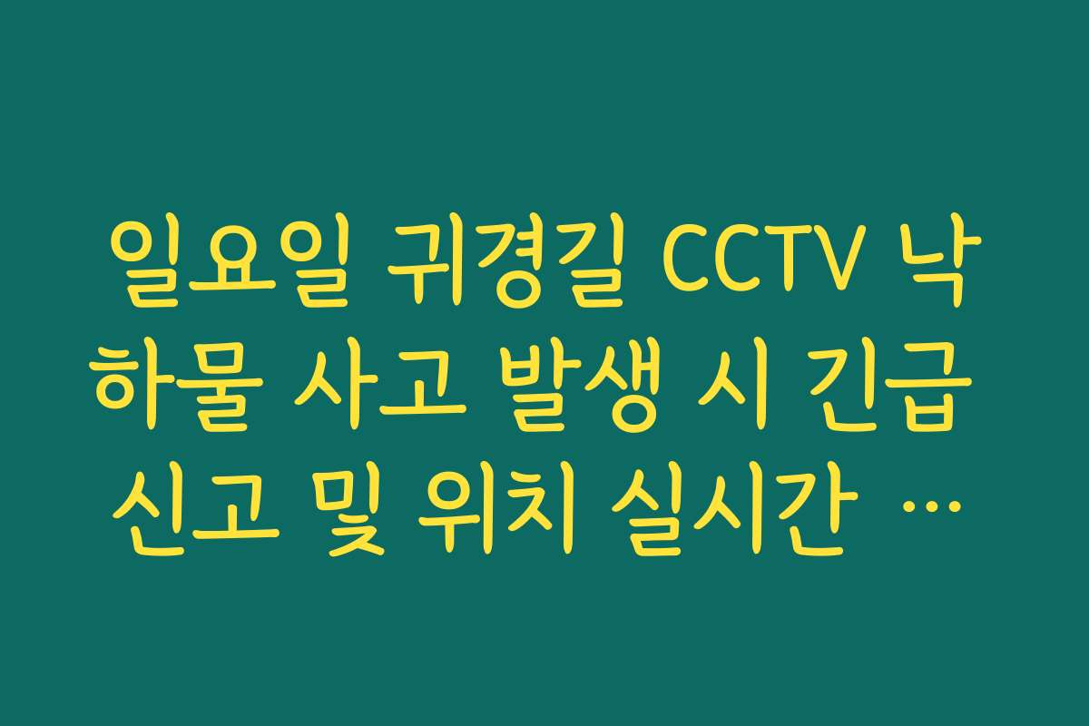일요일 귀경길 CCTV 낙하물 사고 발생 시 긴급 신고 및 위치 실시간 파악