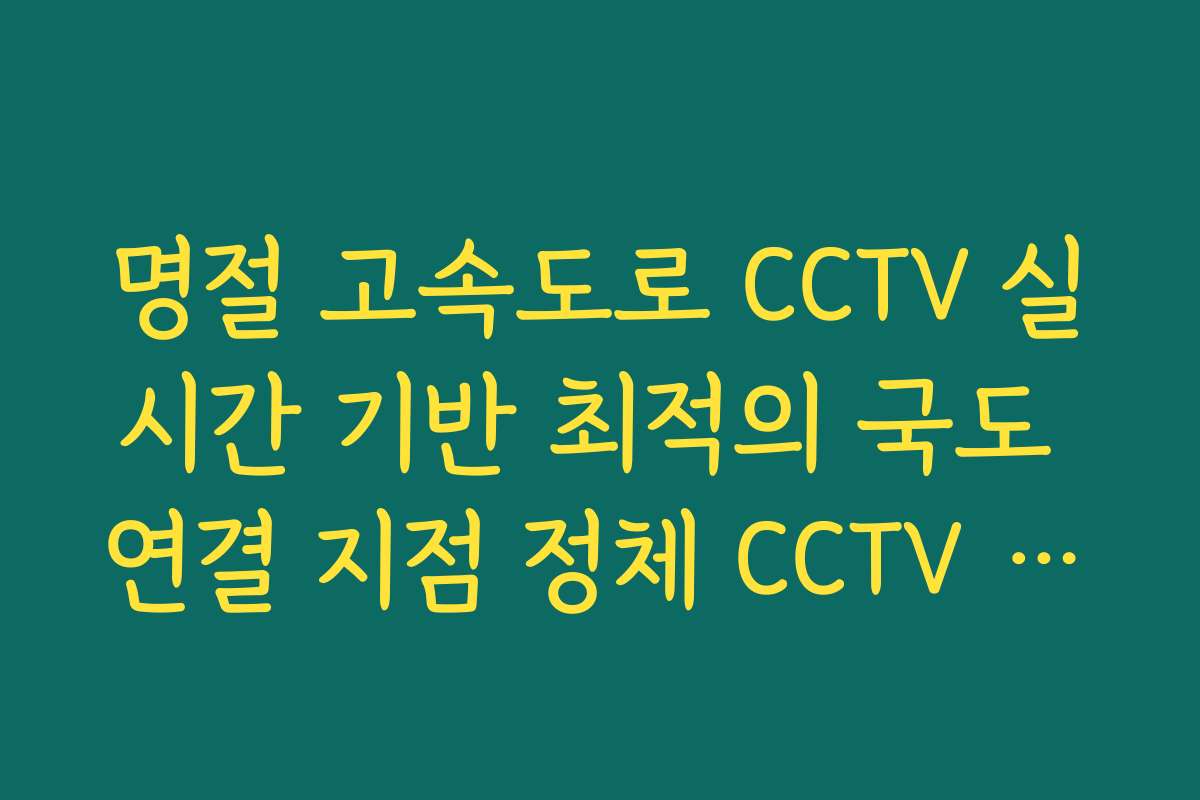 명절 고속도로 CCTV 실시간 기반 최적의 국도 연결 지점 정체 CCTV 확인론
