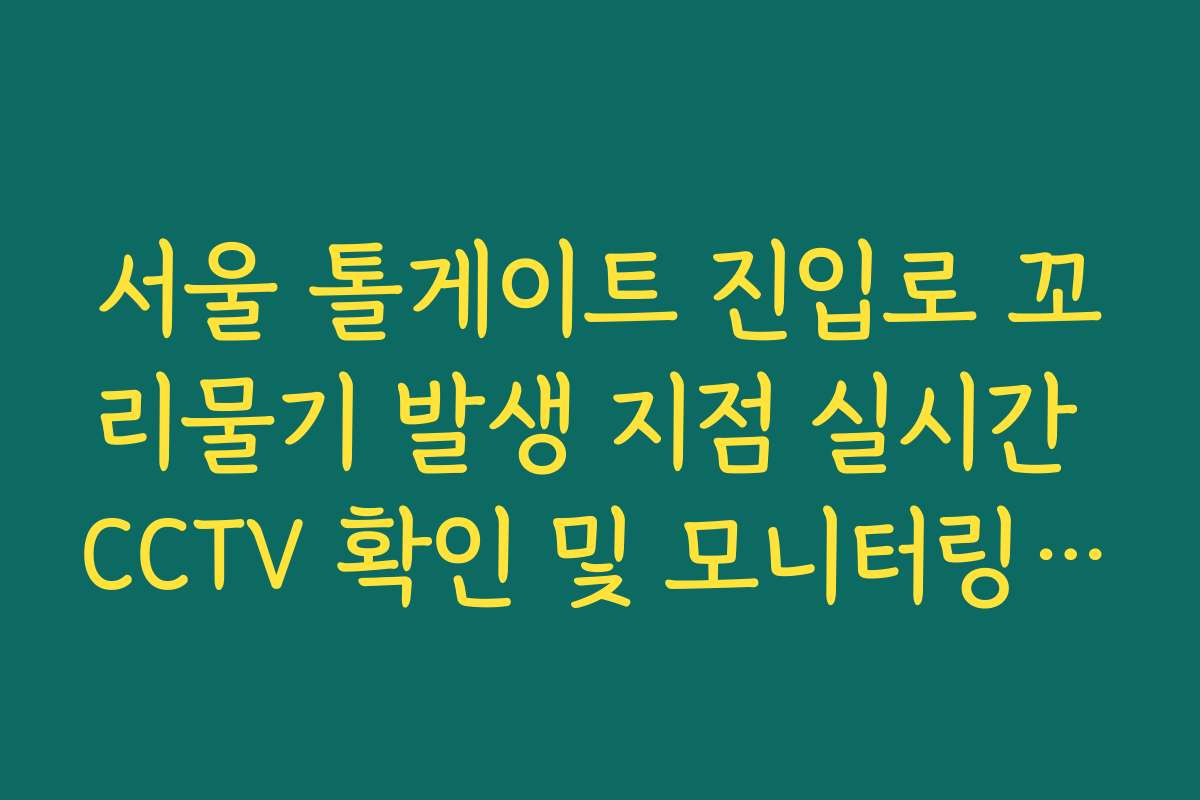 서울 톨게이트 진입로 꼬리물기 발생 지점 실시간 CCTV 확인 및 모니터링 방법