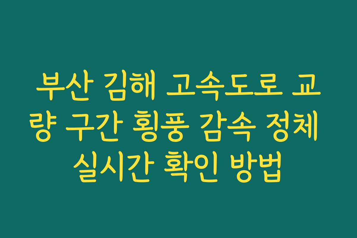부산 김해 고속도로 교량 구간 횡풍 감속 정체 실시간 확인 방법