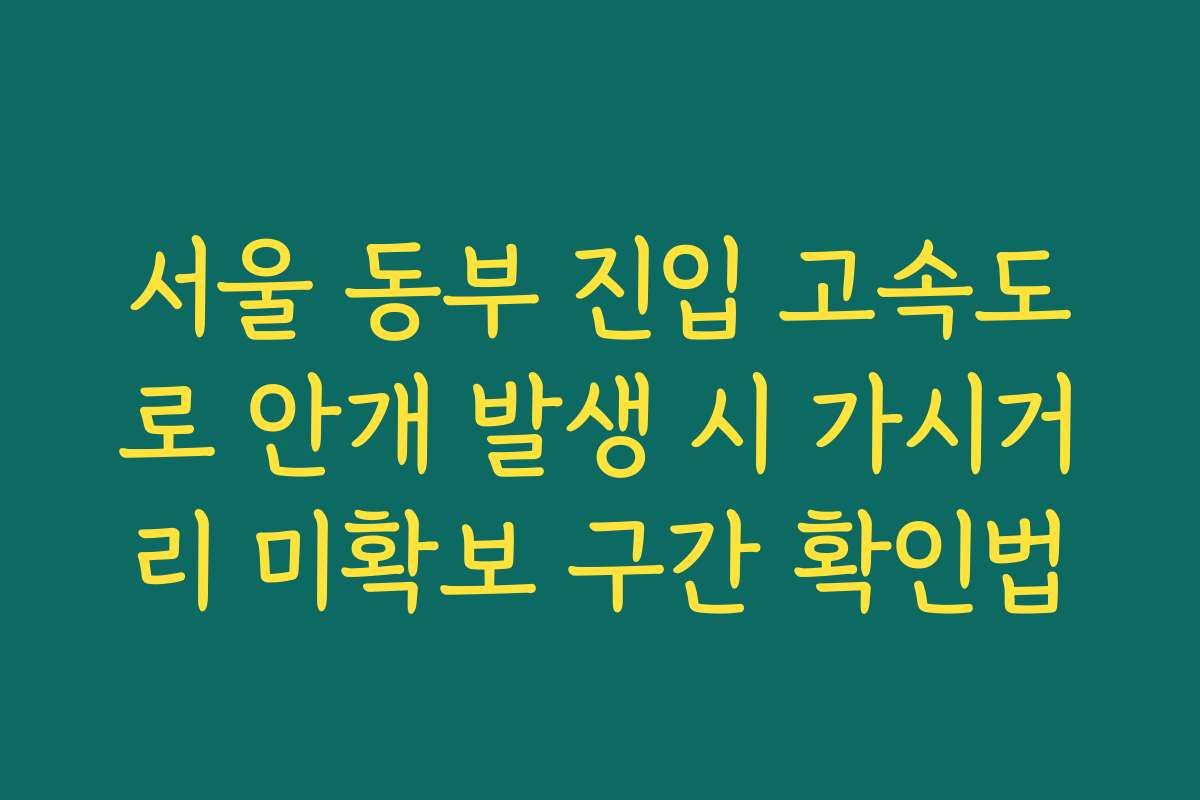 서울 동부 진입 고속도로 안개 발생 시 가시거리 미확보 구간 확인법