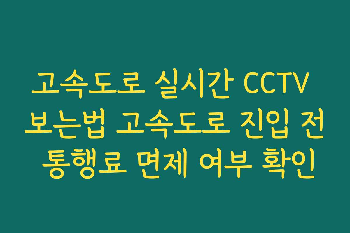 고속도로 실시간 CCTV 보는법 고속도로 진입 전 통행료 면제 여부 확인