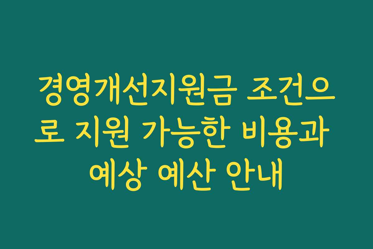 경영개선지원금 조건으로 지원 가능한 비용과 예상 예산 안내