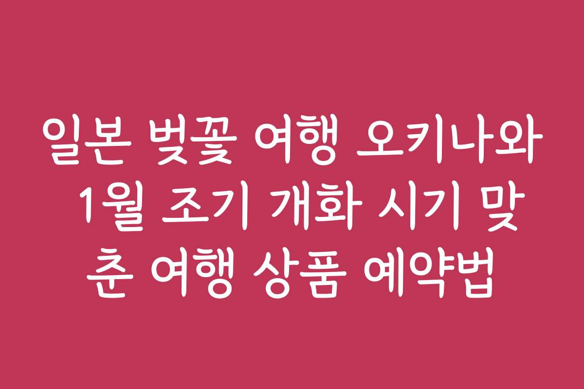 일본 벚꽃 여행 오키나와 1월 조기 개화 시기 맞춘 여행 상품 예약법