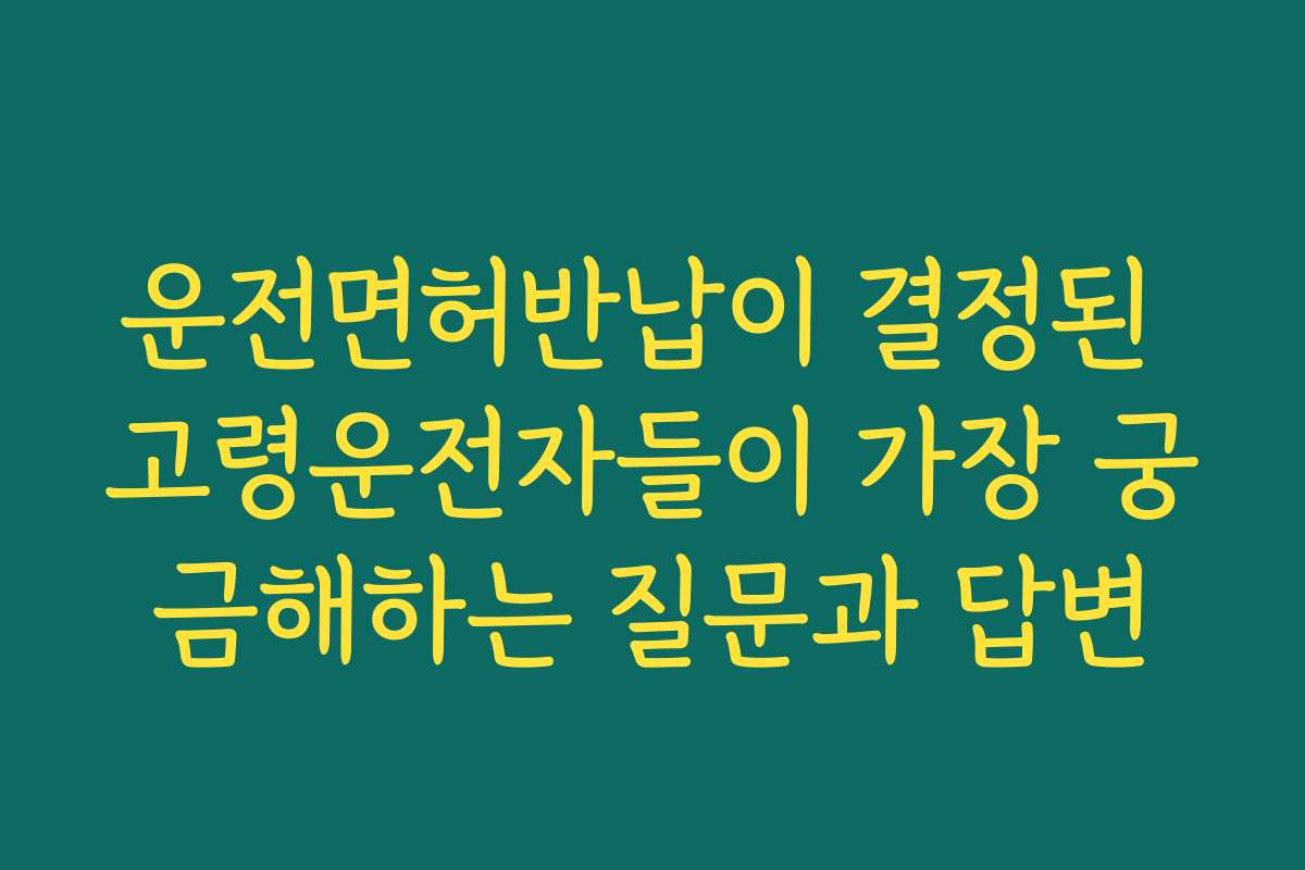 운전면허반납이 결정된 고령운전자들이 가장 궁금해하는 질문과 답변