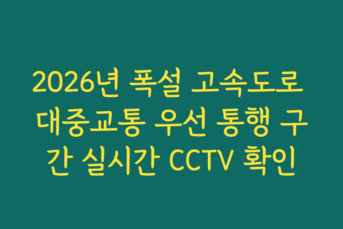 2026년 폭설 고속도로 대중교통 우선 통행 구간 실시간 CCTV 확인