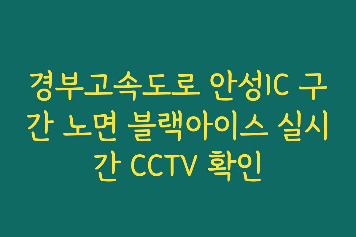 경부고속도로 안성IC 구간 노면 블랙아이스 실시간 CCTV 확인 경부고속도로 안성IC 구간 노면 블랙아이스 실시간 CCTV 확인