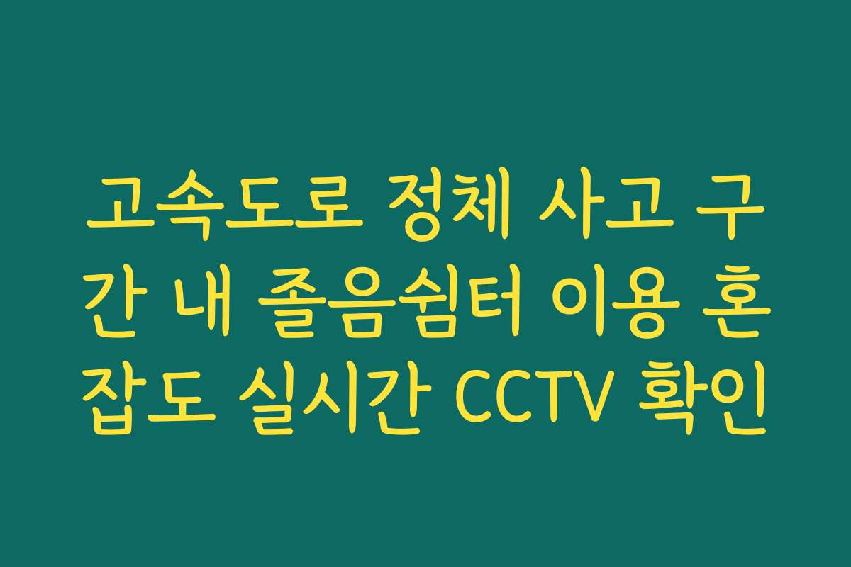 고속도로 정체 사고 구간 내 졸음쉼터 이용 혼잡도 실시간 CCTV 확인