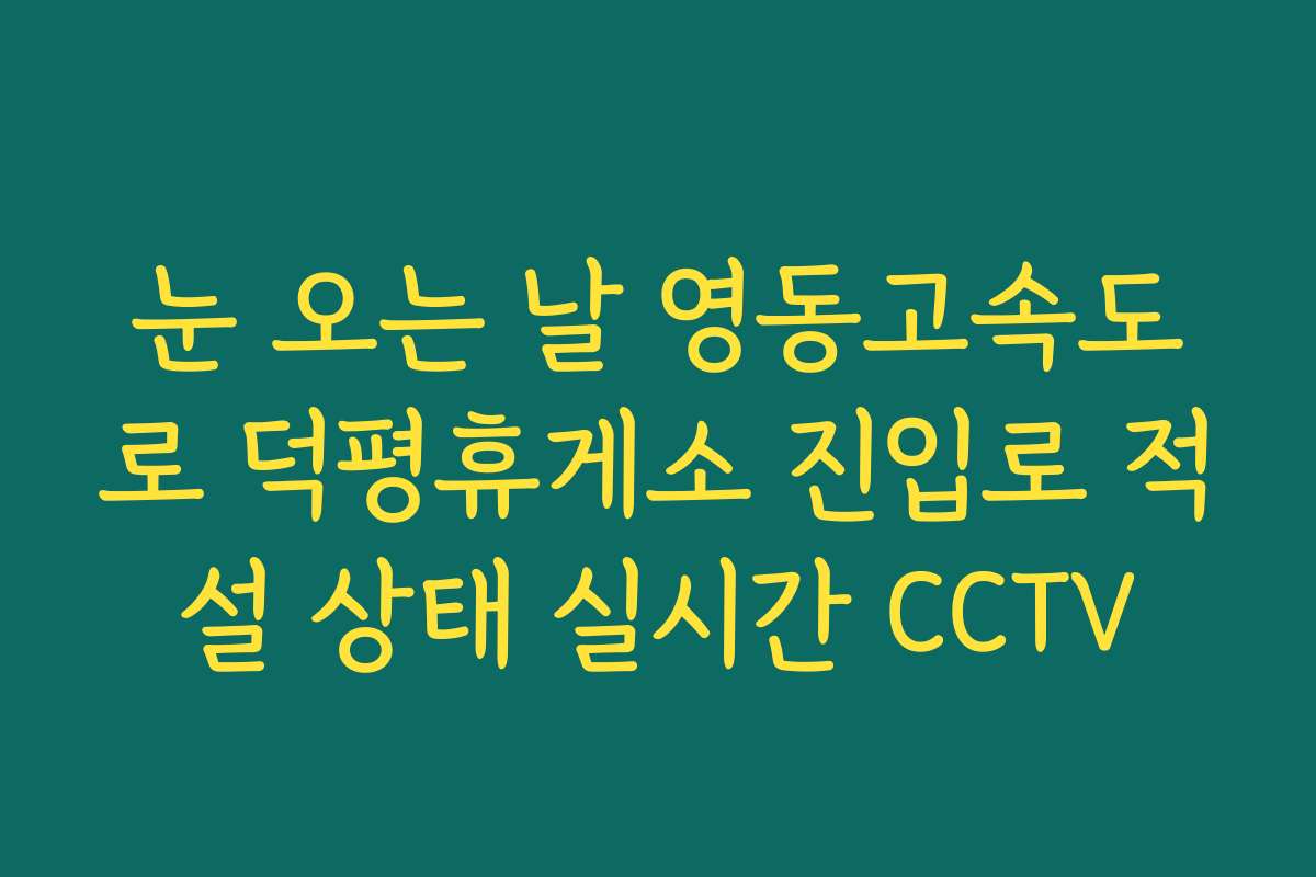 눈 오는 날 영동고속도로 덕평휴게소 진입로 적설 상태 실시간 CCTV