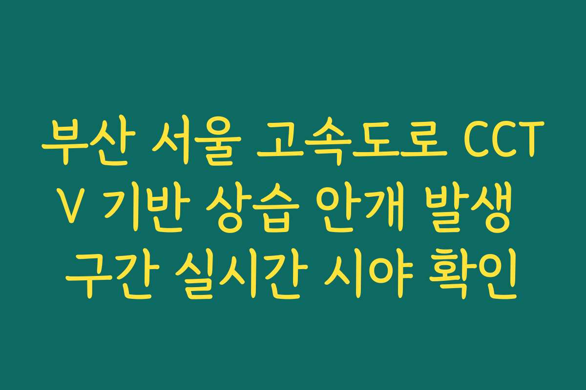 부산 서울 고속도로 CCTV 기반 상습 안개 발생 구간 실시간 시야 확인 부산 서울 고속도로 CCTV 기반 상습 안개 발생 구간 실시간 시야 확인