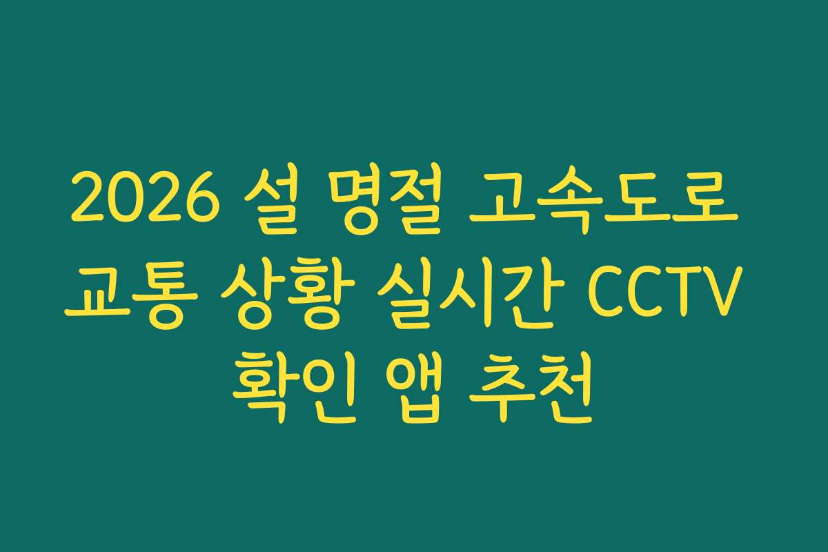 2026 설 명절 고속도로 교통 상황 실시간 CCTV 확인 앱 추천 2026 설 명절 고속도로 교통 상황 실시간 CCTV 확인 앱 추천