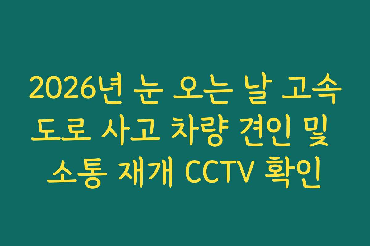 2026년 눈 오는 날 고속도로 사고 차량 견인 및 소통 재개 CCTV 확인