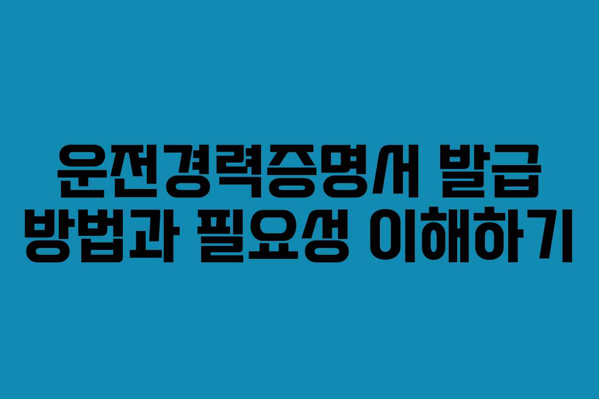 운전경력증명서 발급 방법과 필요성 이해하기 운전경력증명서 발급 방법과 필요성 이해하기