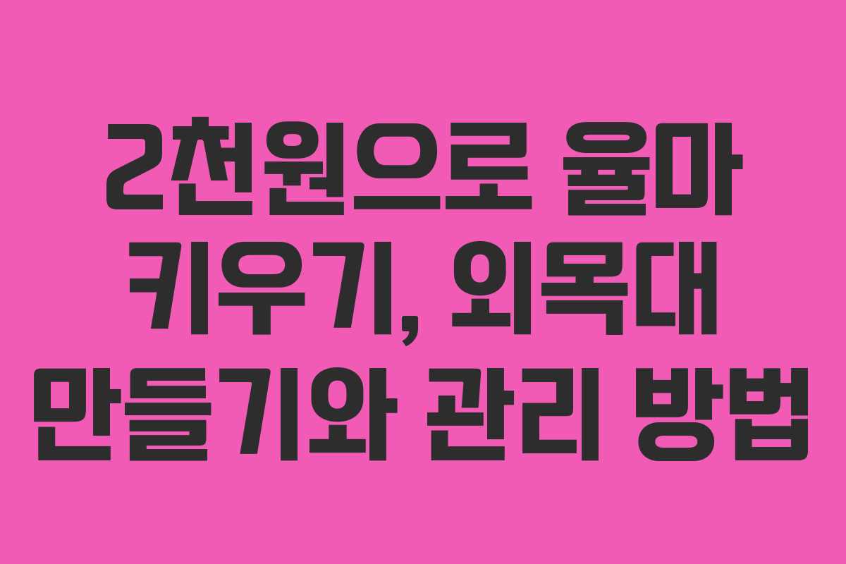 2천원으로 율마 키우기, 외목대 만들기와 관리 방법