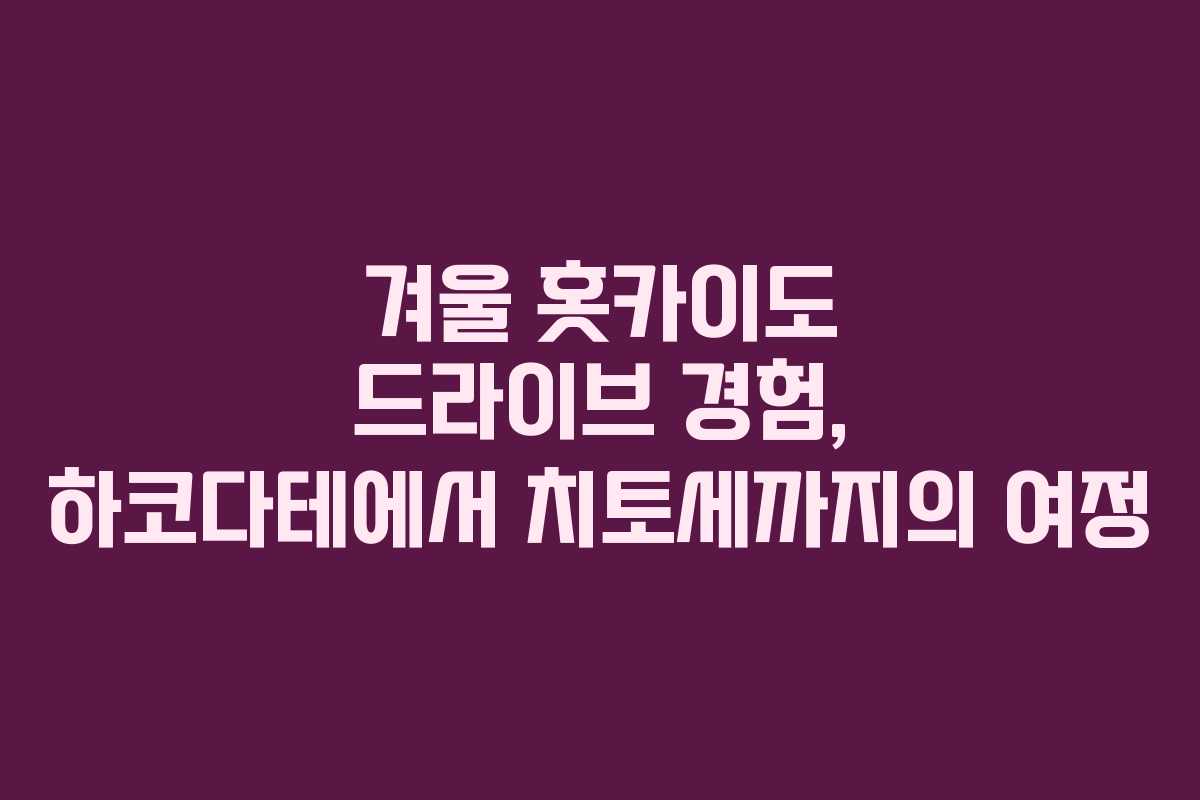 겨울 홋카이도 드라이브 경험, 하코다테에서 치토세까지의 여정