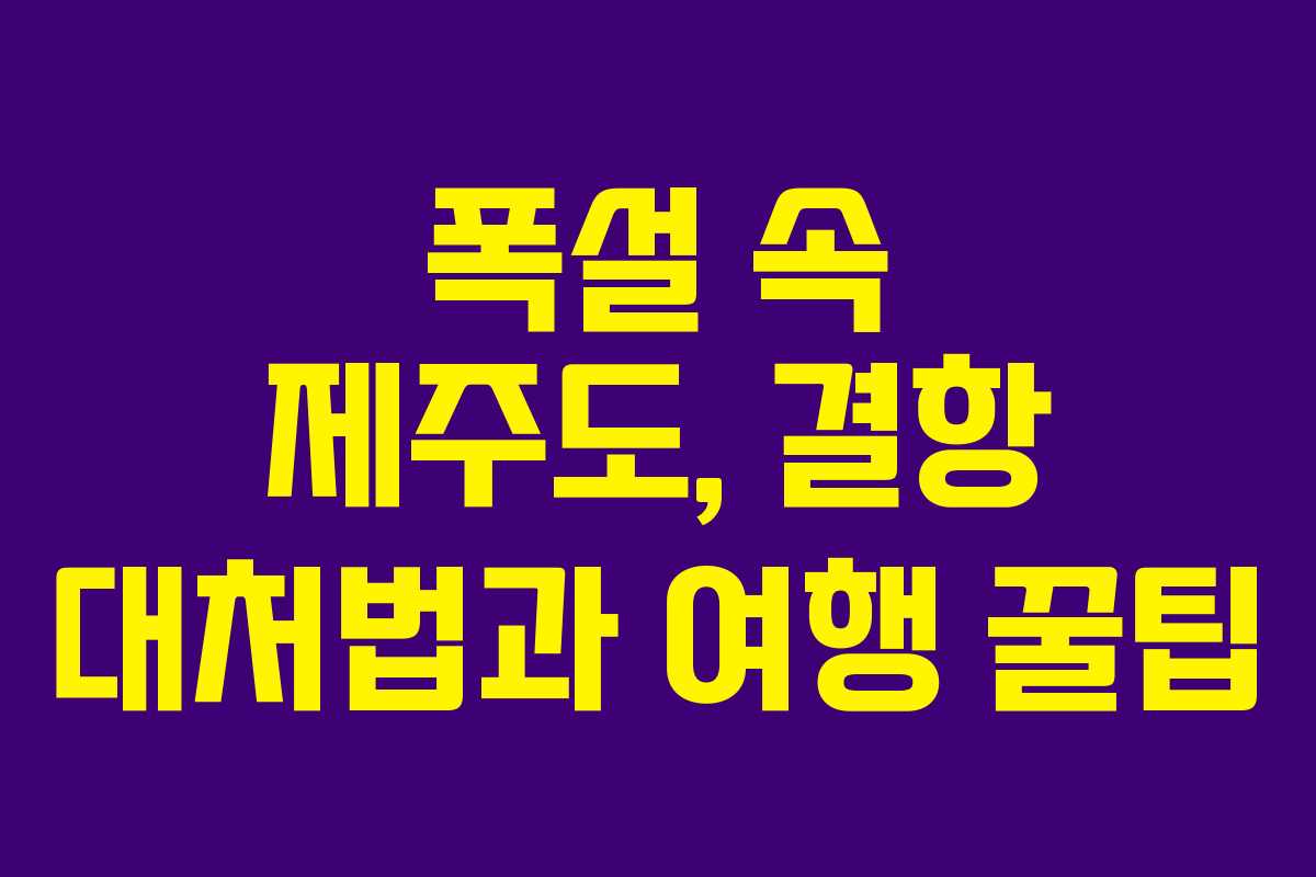 폭설 속 제주도, 결항 대처법과 여행 꿀팁