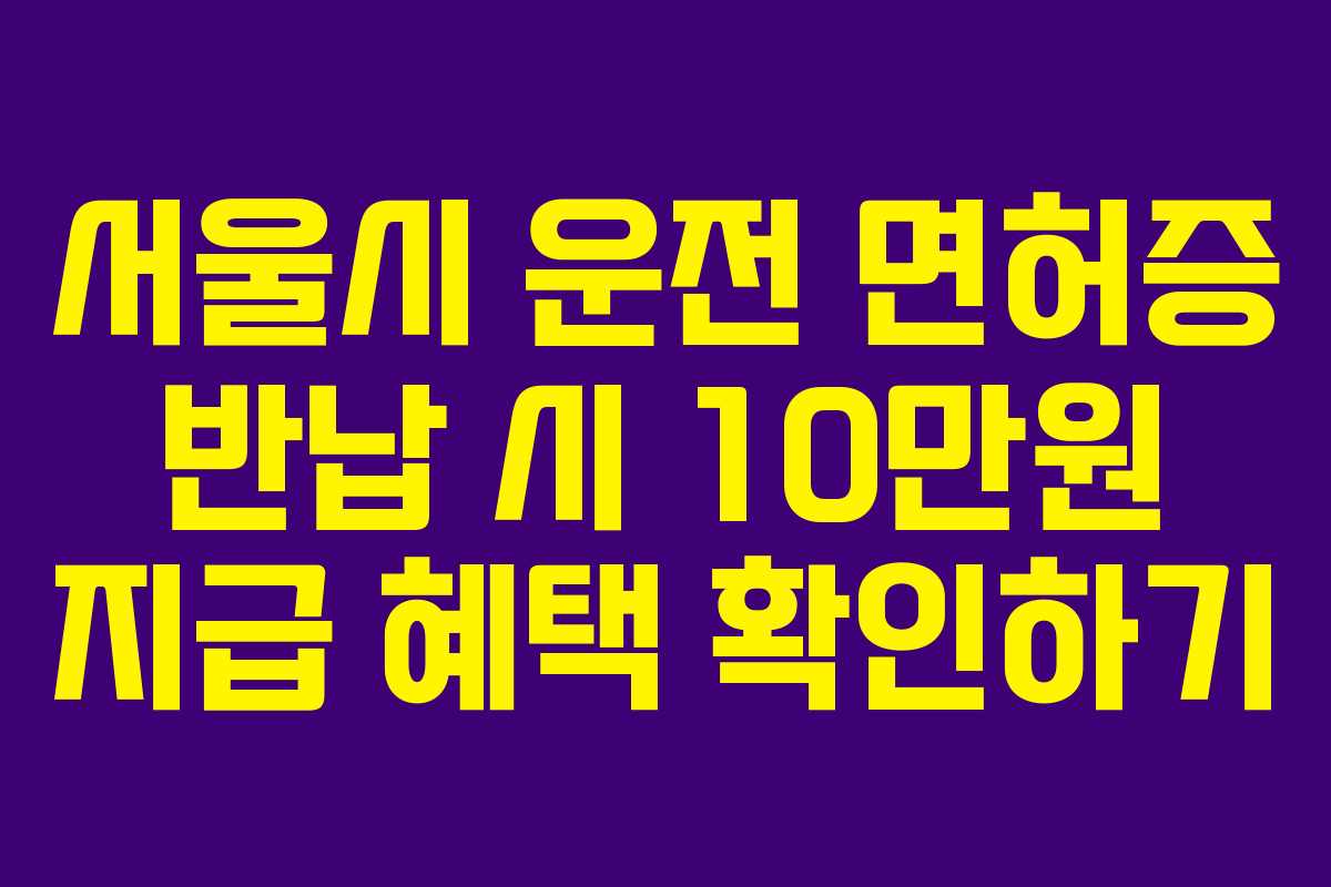 서울시 운전 면허증 반납 시 10만원 지급 혜택 확인하기 서울시 운전 면허증 반납 시 10만원 지급 혜택 확인하기