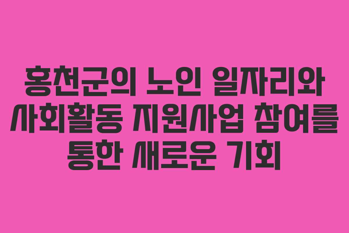 홍천군의 노인 일자리와 사회활동 지원사업 참여를 통한 새로운 기회