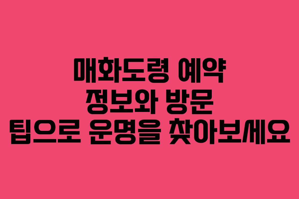 매화도령 예약 정보와 방문 팁으로 운명을 찾아보세요