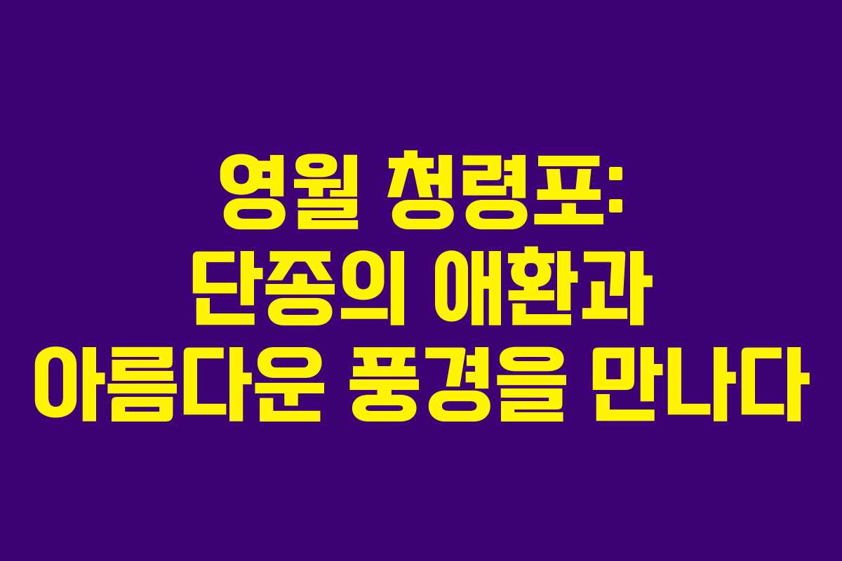영월 청령포: 단종의 애환과 아름다운 풍경을 만나다