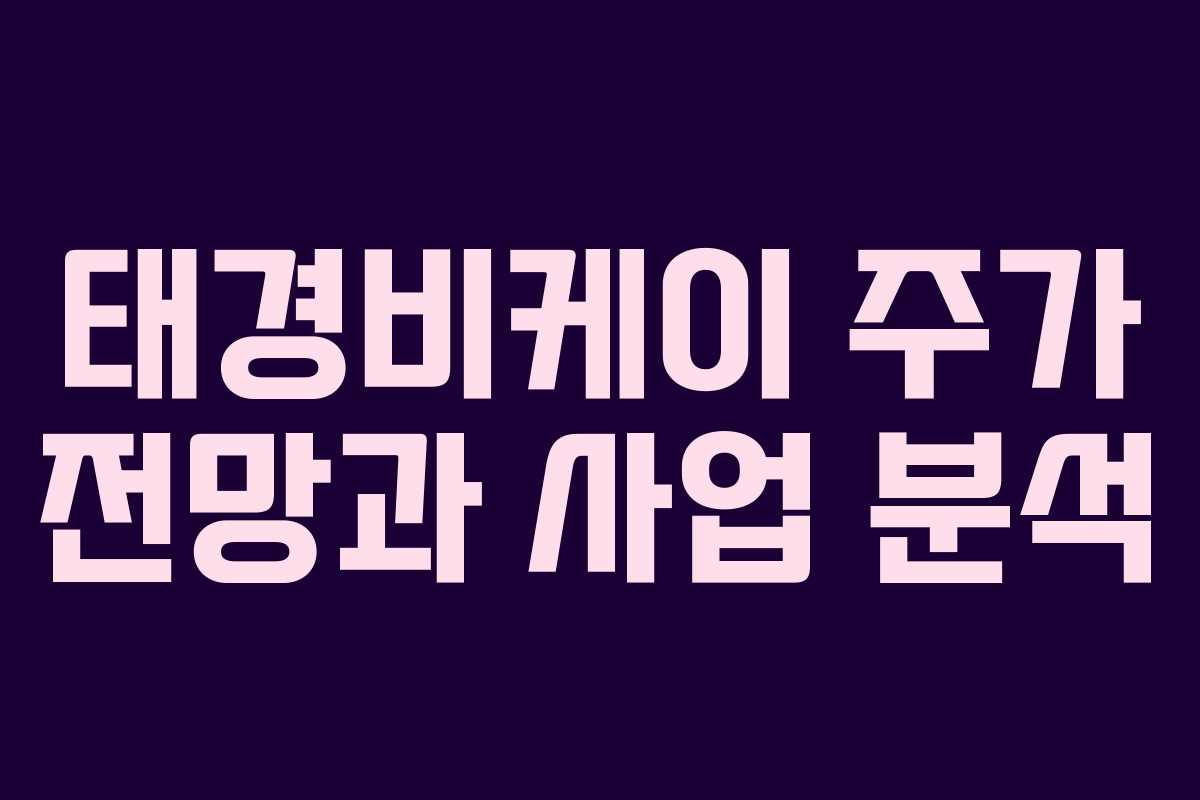 태경비케이 주가 전망과 사업 분석 태경비케이 주가 전망과 사업 분석