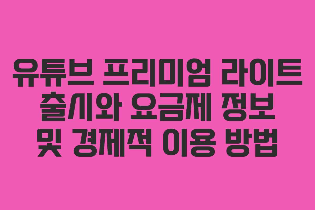 유튜브 프리미엄 라이트 출시와 요금제 정보 및 경제적 이용 방법